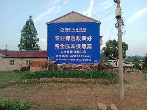 勉县墙体广告的优劣势你知道吗？